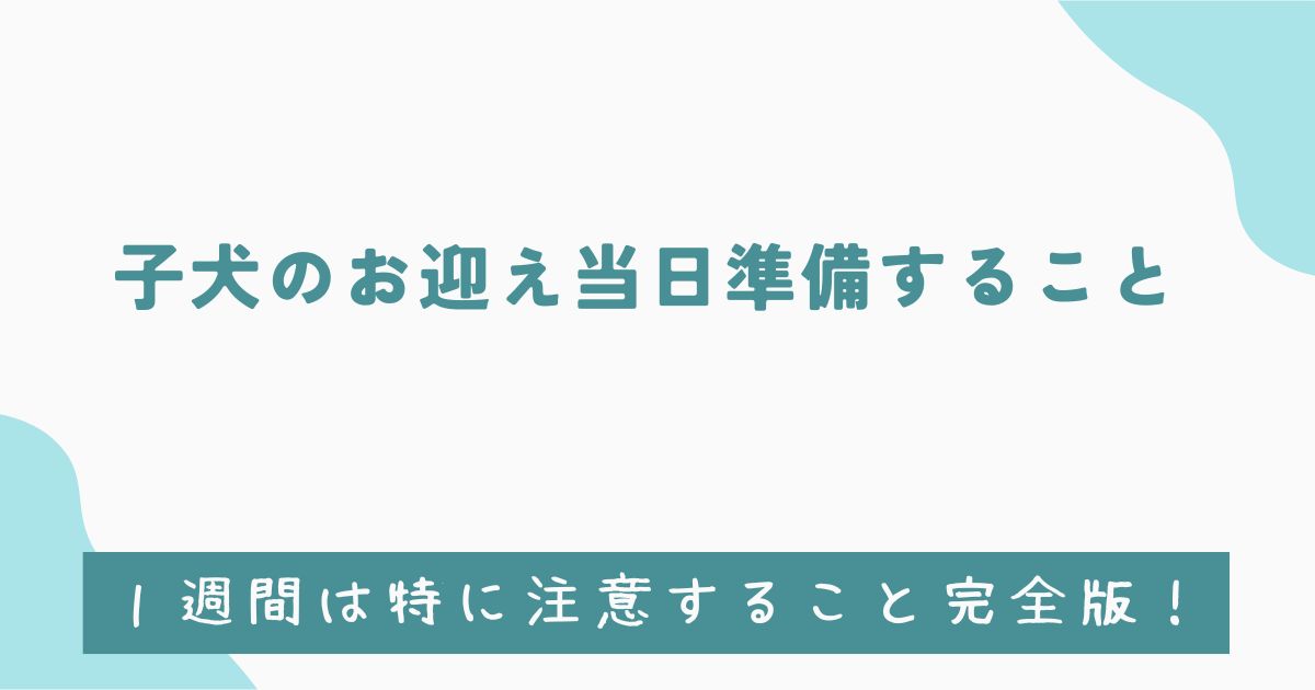 子犬のお迎え当日準備すること